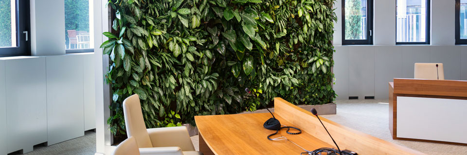 Groene Plantenwand Voor Binnen